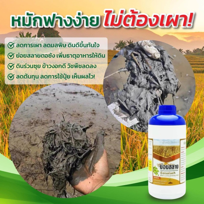 ดินเน่า