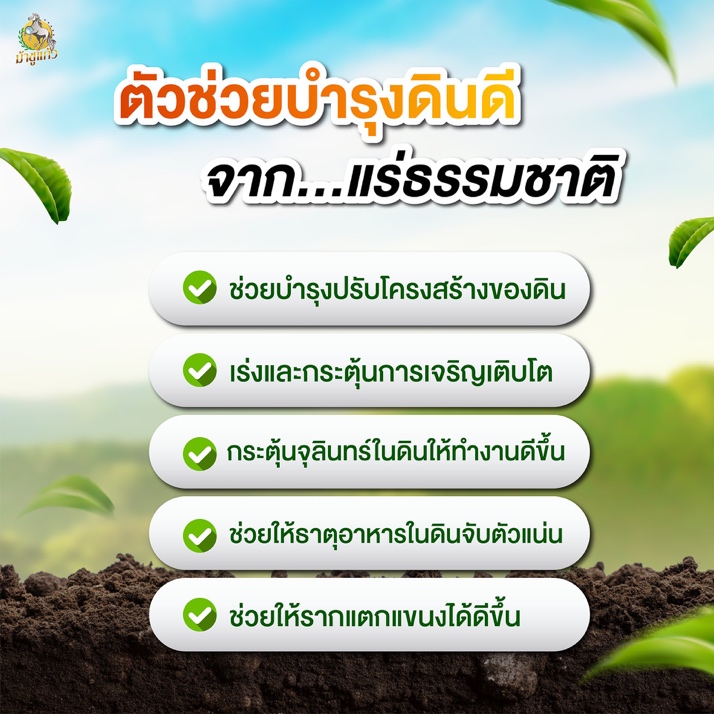 ย่อยสลาย