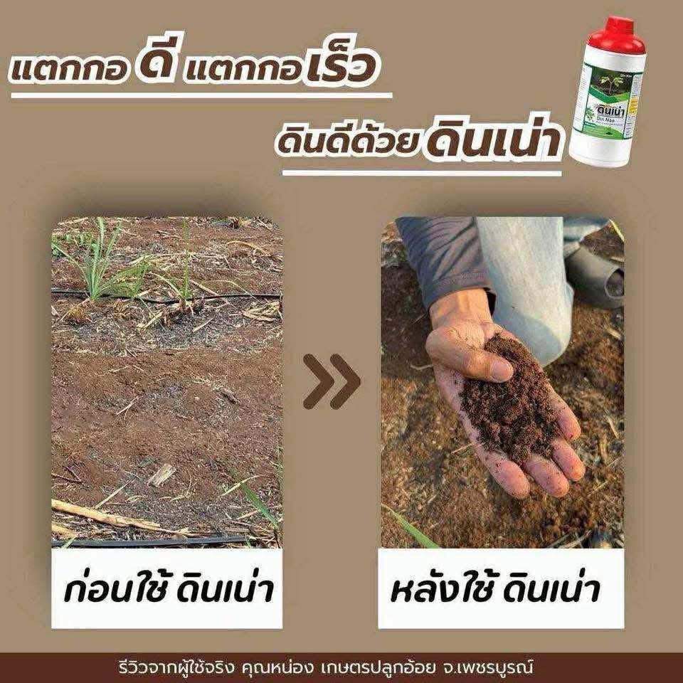 รีวิว
